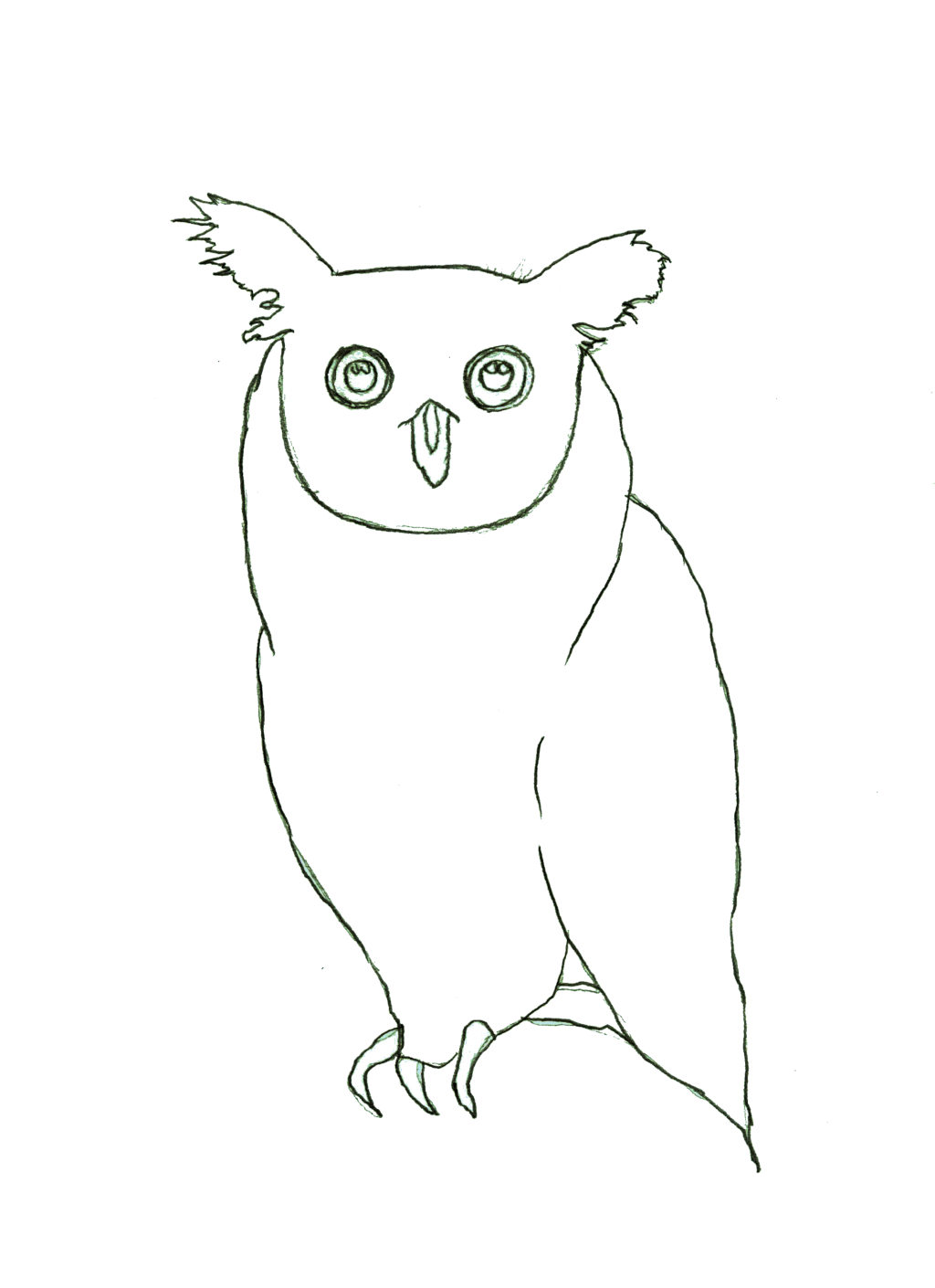 Cute owl animal sketch wonderful drawing' Rectangle Magnet | Spreadshirt