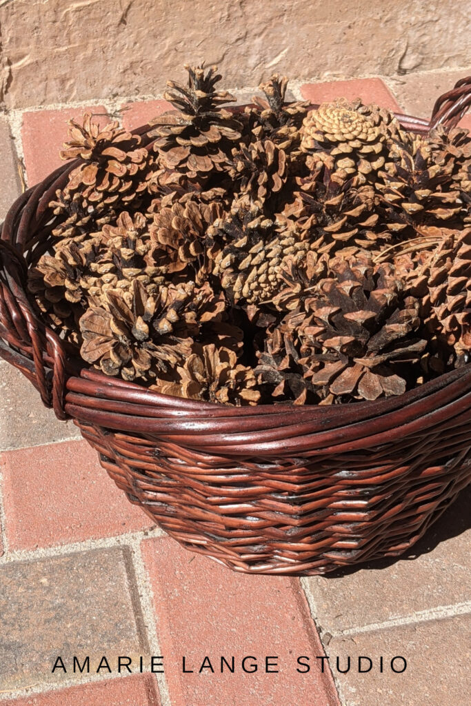 Pine Cones