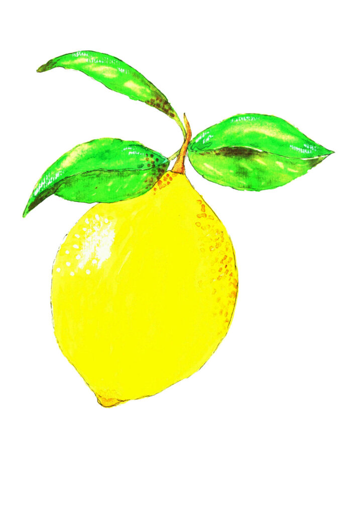 Watercolor Lemon