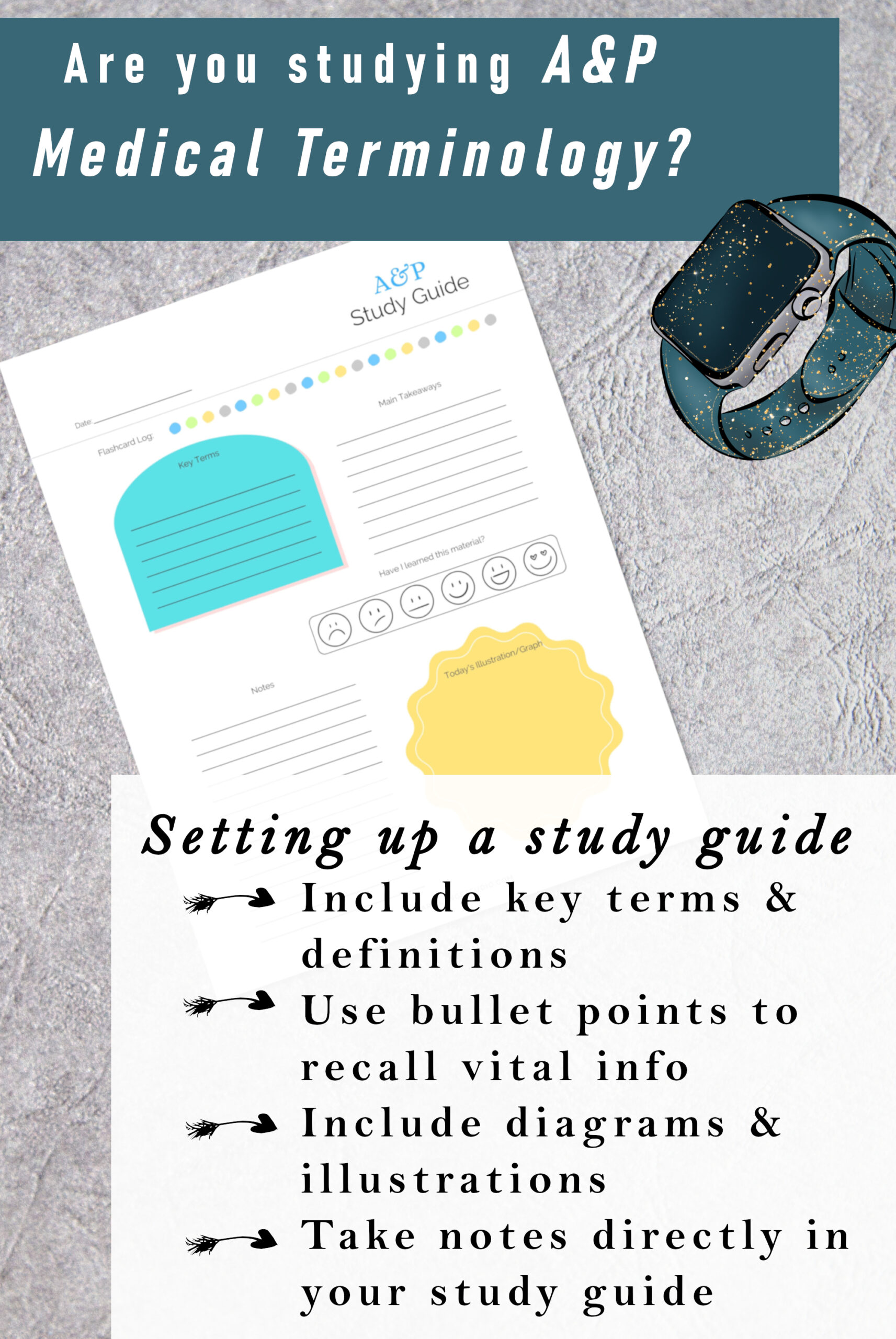 High School Anatomy and Physiology Worksheets PDF Word Searches